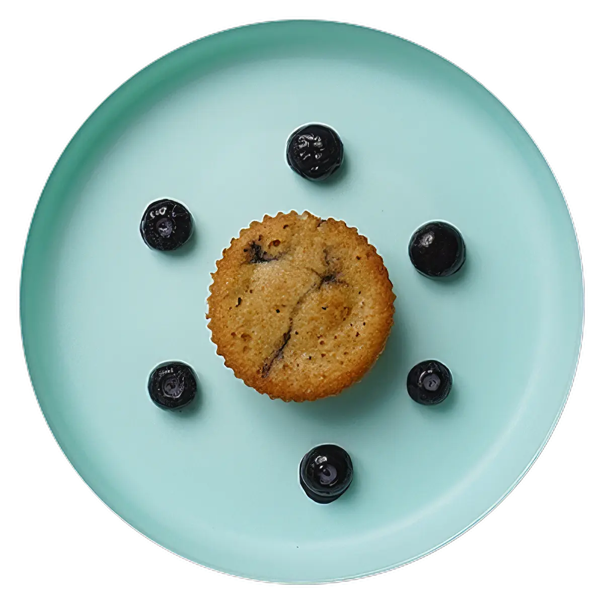 Blueberry Muffins