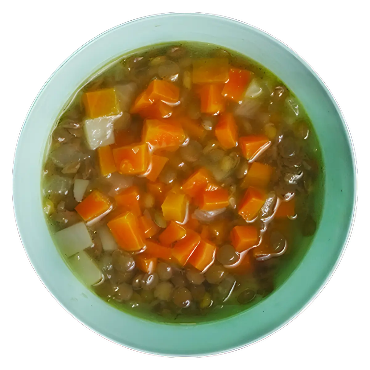 Sopa de Lentejas y Verduras